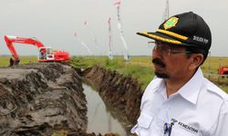 Kementan Tunggu BPS Rilis Data Luas Panen dan Produksi Padi 2019