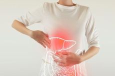6 Kelompok Orang yang Paling Berisiko Terkena Kanker Hati