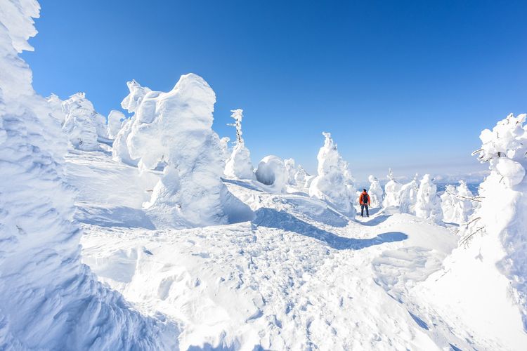 Tak seperti di tempat-tempat lain, turis umum dapat melanglang bebas di antara para monster salju di Zao Onsen.