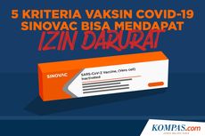 INFOGRAFIK: 5 Kriteria Vaksin Covid-19 Sinovac Bisa Dapat Izin Darurat