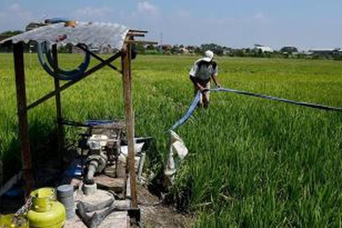 Petani terpaksa membuat sumur bor dan memasang pompa untuk menghindari gagal panen karena lahan persawahannya jauh dari sungai atau sumber air di Sijeruk, Kecamatan Kendal, Kabupaten Kendal, Jawa Tengah, Kamis (30/7/2015). Mereka harus mengeluarkan biaya tambahan pembuatan sumur bor sebesar Rp 2,5 juta dan ongkos bahan bakar pompa Rp 150.000 per hari.