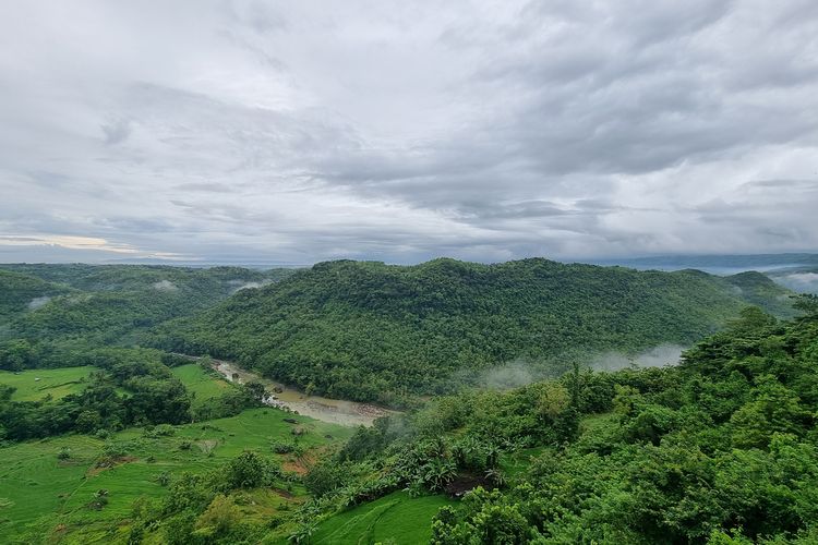 Lembah hijau berkabut di Watu Mabur Mangunan.