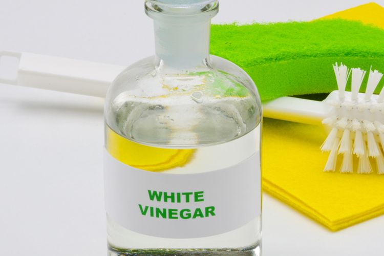 Ilustrasi cuka putih.