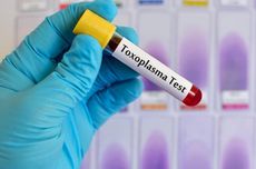 Infeksi Toksoplasma: Gejala, Penyebab, Cara Mencegah