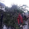 Pengendara Motor Tewas Tertimpa Pohon yang Tumbang akibat Angin Kencang