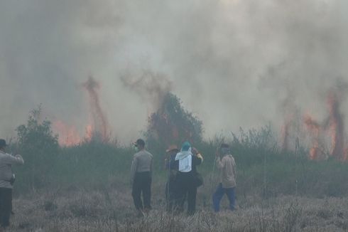 Cegah Api Menyebar, Pemerintah Bikin Sekat di Lokasi Kebakaran Gambut