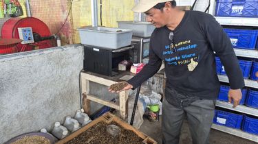 Ketika Maggot Mengubah Kampung