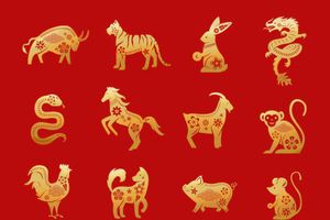 3 Shio dengan Karier Cemerlang dan Stabil Sepanjang Hidup