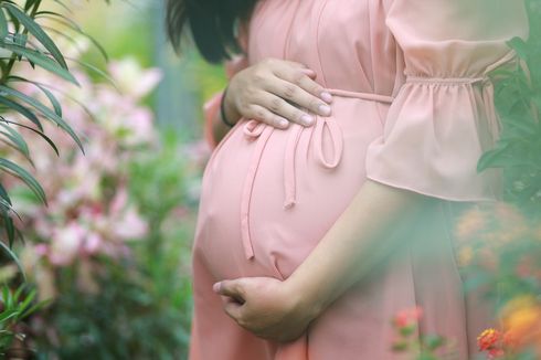 Nutrisi untuk Ibu Hamil dan Menyusui di 1000 Hari Pertama Kehidupan Anak