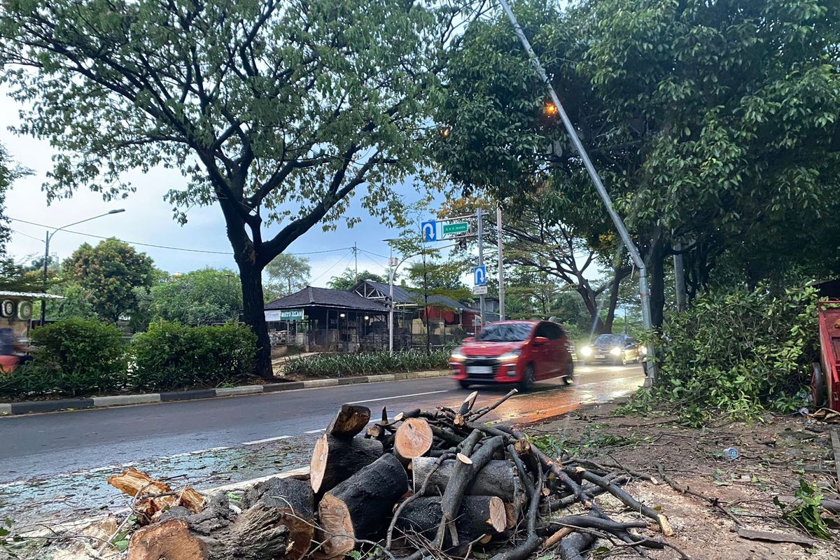 Pohon tumbang dan tiang listrik yang bengkok akibat hujan angin di Jalan Ir. H. Juanda, Kota Depok, Rabu (3/7/2024).