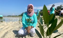 Lawan Abrasi, Dompet Dhuafa-Walhi Tanam 1.000 Mangrove di Pulau Pari