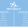 Metabolit Primer dan Metabolit Sekunder: Pengertian dan Contohnya