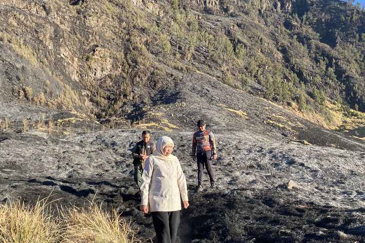 Kebakaran Gunung Bromo Diduga akibat Aktivitas Manusia