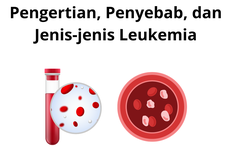 Pengertian, Penyebab, dan Jenis-jenis Leukemia