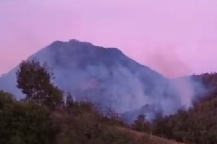 Pendakian Gunung Arjuno-Welirang Ditutup Imbas Kebakaran Hutan, Pendaki Diminta Reschedule