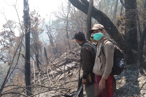 Kebakaran Ancam Ekosistem Hutan Lindung Gunung Slamet