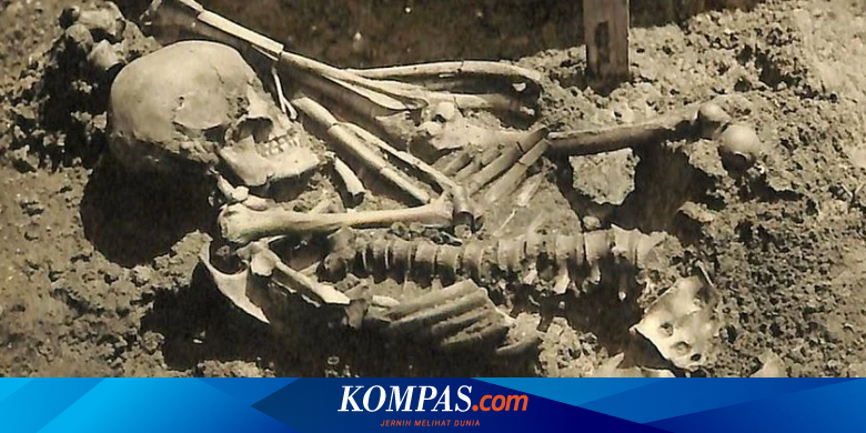 Inilah Korban Serangan Hiu Tertua, Berasal dari 3.000 Tahun Lalu - Vimarsana News