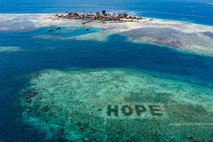 Hope Reef 1