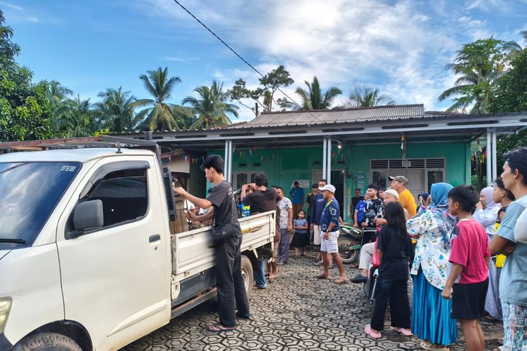 Dua Pencuri Sawit di Bangka Barat Nyaris Diamuk Massa
