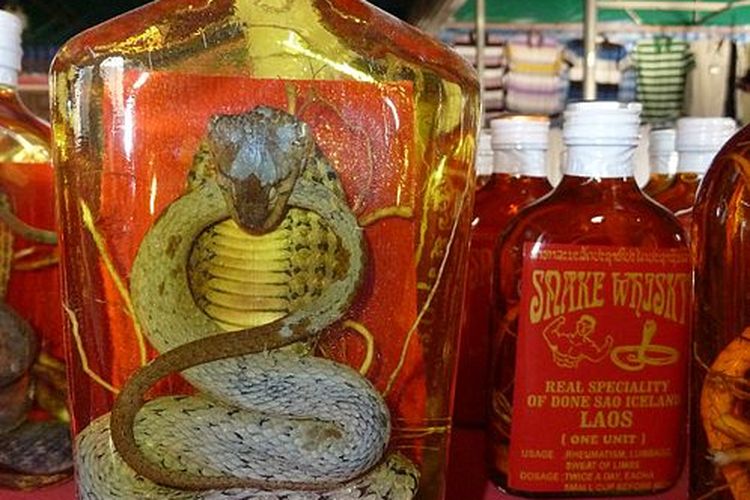 Snake wine terbuat dari wine yang ditambahkan ular dan orang yang mengonsumsinya percaya akan khasiatnya untuk kesehatan.