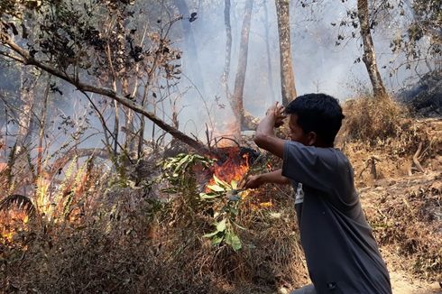 Kebakaran Hutan, Semua Jalur Pendakian Gunung Rinjani Ditutup