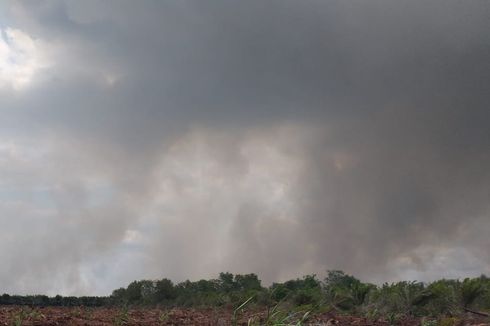 Kebakaran Hutan dan Lahan di Dumai Semakin Parah, Api Sulit Dipadamkan