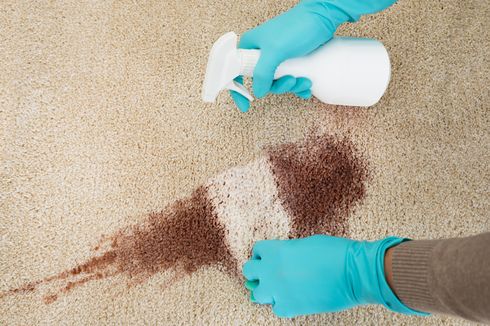 Cara Menghilangkan Jamur di Karpet dengan Mudah