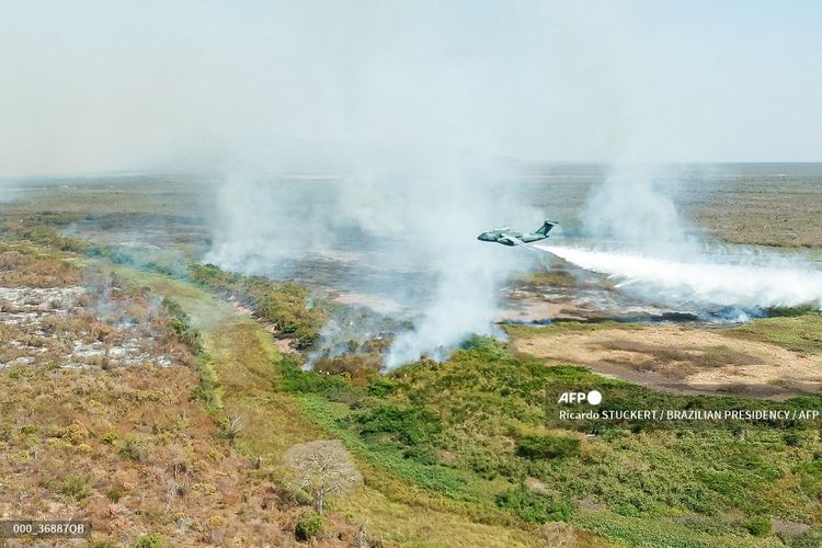 Pesawat Angkatan Udara Brasil menyemprotkan air untuk memadamkan kebakaran hutan di Corumba, Negara Bagian Mato Grosso do Sul, pada 31 Juli 2024.