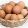 UPDATE Daftar Harga Telur Ayam Hari Ini di 30 Pasar Se-Jakarta