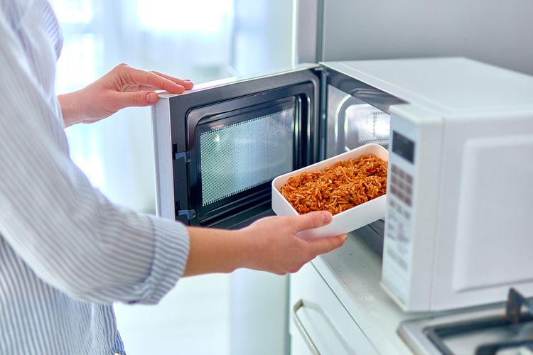 Ilustrasi microwave 