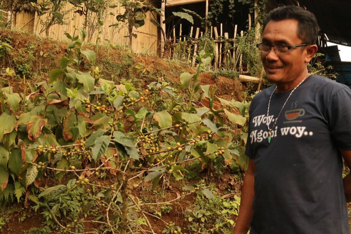 Rudy Hartono pemilik kedai Kopi Gunung berpose dengan biji kopi yellow cattura miliknya