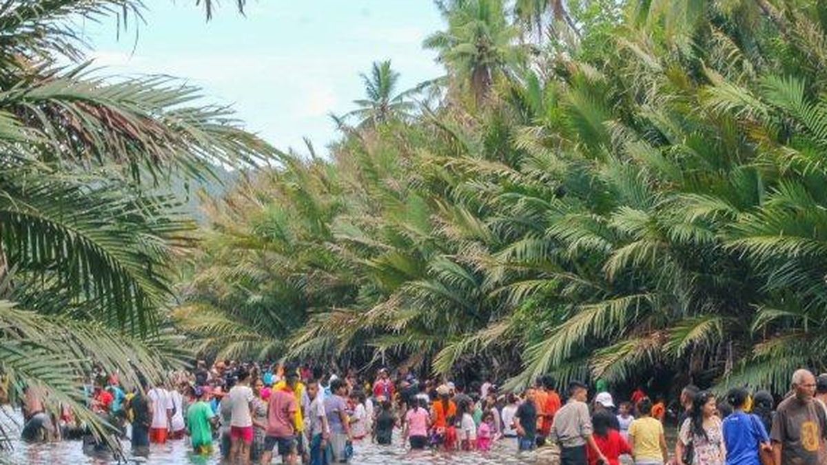 Tradisi Sasi, Upaya Pelestarian Alam Masyarakat Maluku hingga Papua