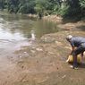 Anak Bulus Dikembalikan ke Sungai Ciliwung, Belum Langka tapi Penting untuk Ekosistem