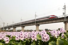 Per 13 April 2023, Kereta Api China-Laos Mulai Beroperasi 