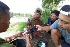 Kembangkan Ekowisata, Komunitas Nelayan Tanam Pohon di Bantaran Sungai Brantas Jombang