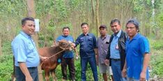 Semarakkan Idul Adha, Sinar Mas Sumbang Ratusan Hewan Kurban