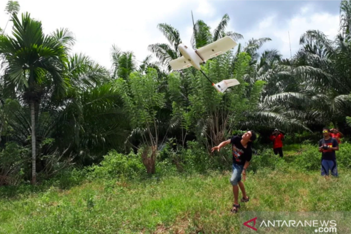 Ilustrasi penggunaan drone untuk pemetaan sawit rakyat.