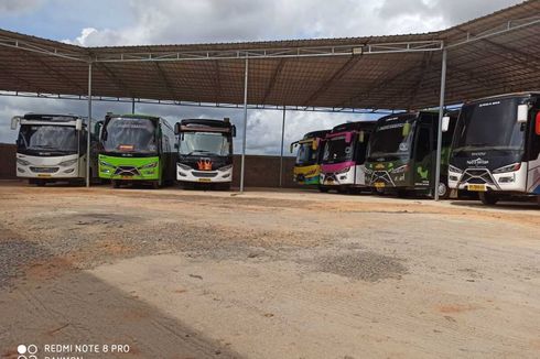 Dampak Virus Corona, 80 Bus Pariwisata di Tanjungpinang Tak Beroperasi