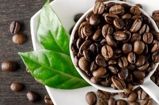 Tujuh Belas Specialty Coffee Siap Jadi Primadona di SCAA Expo 