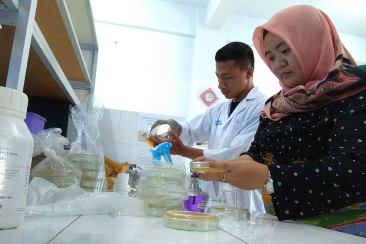 Dosen Universitas PGRI Banyuwangi sedang membuat probiotik di laboratorium 