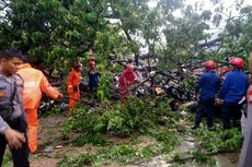 4 Polisi dan 55 Sepeda Motor Tertimpa Pohon Tumbang di Balai Kota DKI