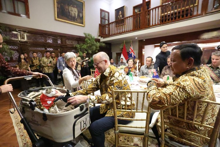 Bobby Kucing Prabowo Dapat Hadiah Lagi, Kini Kalung Syal dari PM Australia