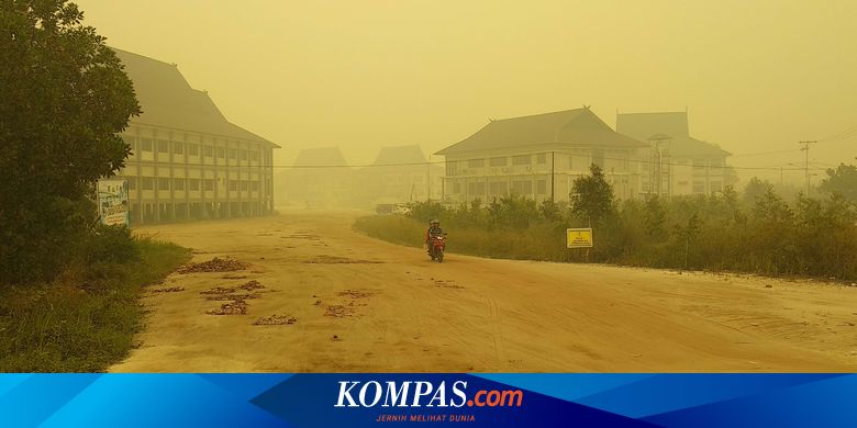 Kabut Asap Berdampak Pada Pembelajaran Siswa Ini Solusi Kemendikbud Halaman All Kompas Com