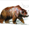 Beruang Gua Diburu Manusia Purba untuk Diambil Bulunya Sebagai Mantel