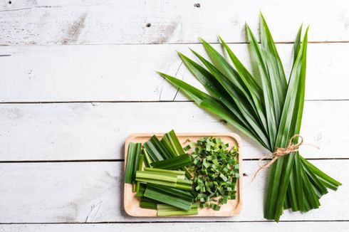 Redakan Radang Sendi, Ini 3 Potensi Efek Buruk Daun Pandan bagi Tubuh