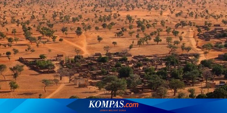 Tak Ada Hutan di  Gurun  Pasir Kenapa Gurun  Sahara Punya 