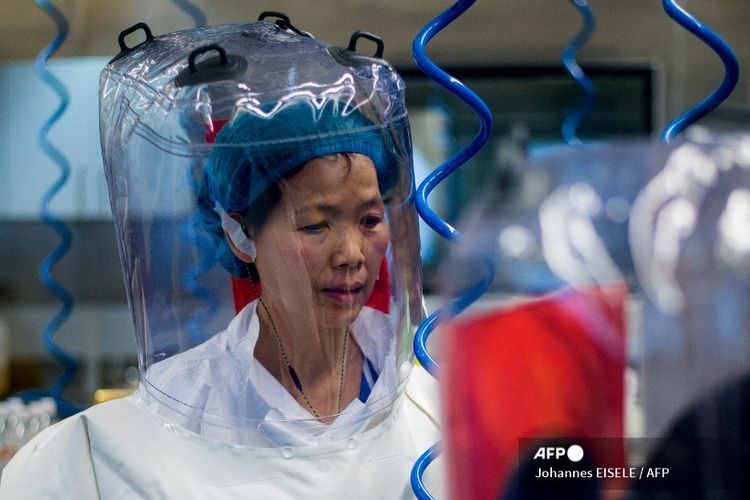 Ahli virologi China Shi Zhengli terlihat di dalam laboratorium P4 di Wuhan, ibu kota provinsi Hubei Tiongkok, pada tanggal 23 Februari 2017.