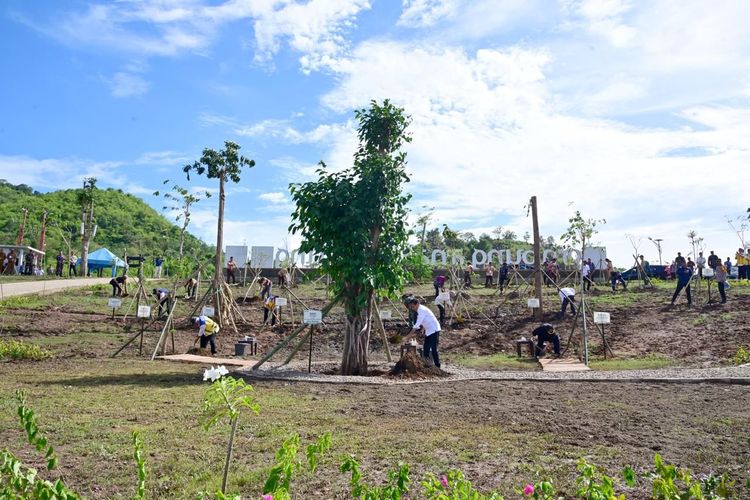 Presiden Joko Widodo melakukan penanaman pohon bersama masyarakat dan pelajar di Embung Anak Munting pada hari kedua kunjungannya ke Kabupaten Manggarai Barat, Provinsi Nusa Tenggara Timur (NTT), Selasa (5/12/2023) siang.