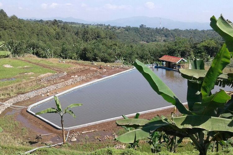 Untuk menangani permasalahan kekeringan akibat El Nino, Kementerian Pertanian sudah mempersiapkan tim khusus penanganan kekeringan. Tim khusus ini akan turun ke lokasi-lokasi kekeringan di wilayah sentra produksi padi.