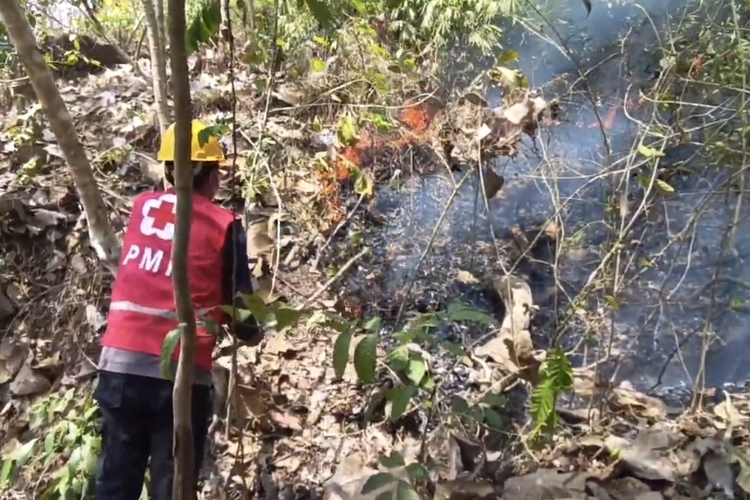 Karhutla Hutan Jati di Lumajang Meluas, 6 Hektare Lahan Terbakar